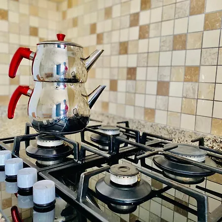 Апартаменты Konyaalti Furkan Family Анталья